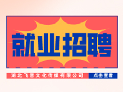 【就业招聘】湖北飞音文化传媒有限公司·武汉新华就业招聘信息