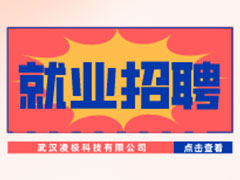 【就业招聘】武汉凌极科技有限公司·武汉新华就业招聘信息